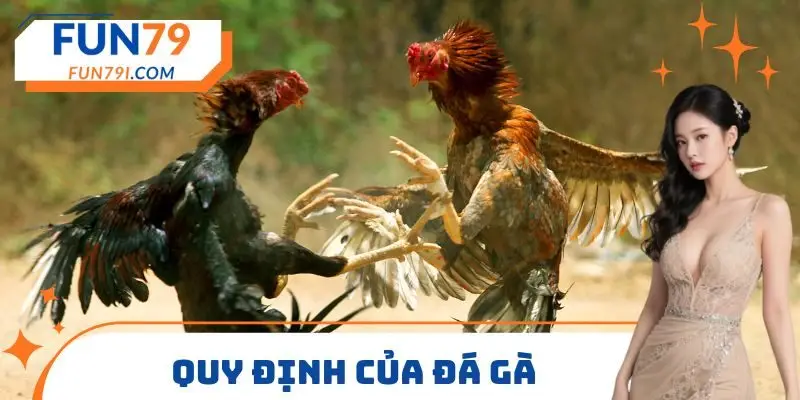 Quy định của đá gà
